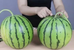 天津4s吃瓜爆料,揭秘汽车销售内幕